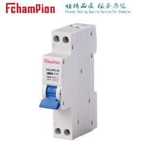 HGL6PE-40 Residual Current Operated Circuit-Breakers With Integral Overcurrent Protection