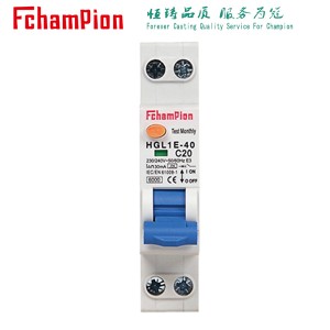 HGL1E-40 Residual Current Operated Circuit-Breakers With Integral Overcurrent Protection