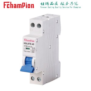 HGL6TE-40 Residual Current Operated Circuit-Breakers With Integral Overcurrent Protection